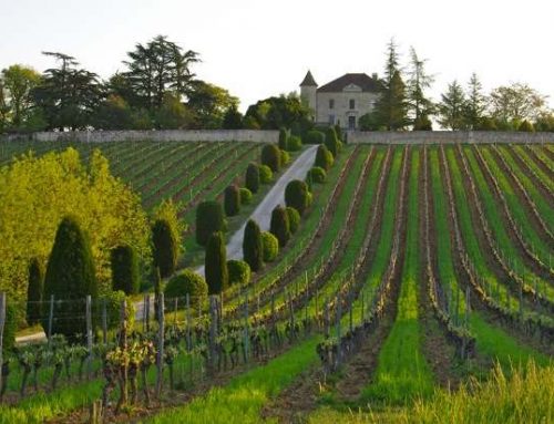 The Lot Valley and its vineyards